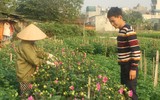 Làng Khương Hạ vào mùa hoa Tết